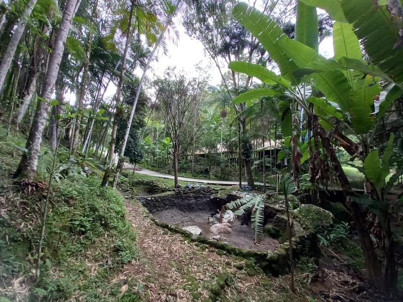Sítio com 9,78 hectares a  venda em Tres Riachos, Biguaçu.